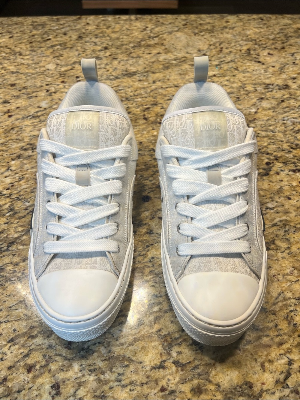 Dior Homme B23 Skater